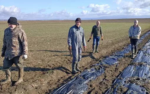 On plante des haies &agrave; Entraigues
